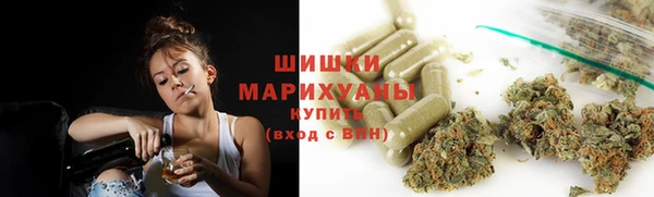 дурь Грязовец