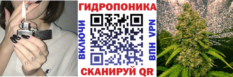 Шишки марихуана THC 21%  как найти   Нелидово 